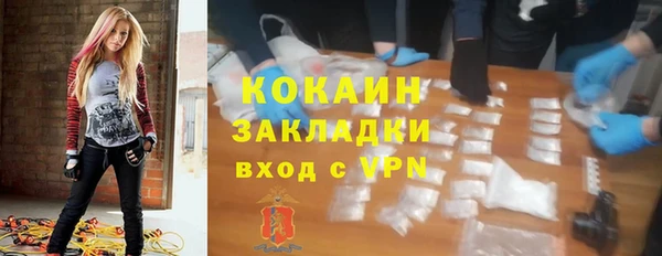 круглые Гусев