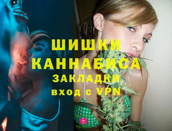 круглые Гусев