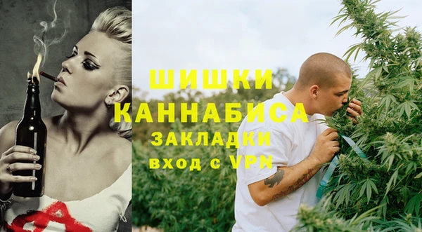 круглые Гусев