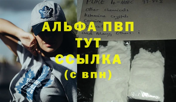 круглые Гусев