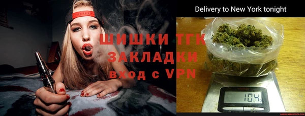 круглые Гусев