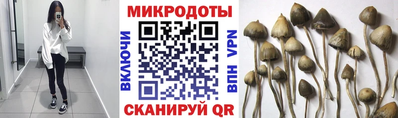 Купить закладки  Агрыз  Псилоцибиновые грибы прущие грибы 